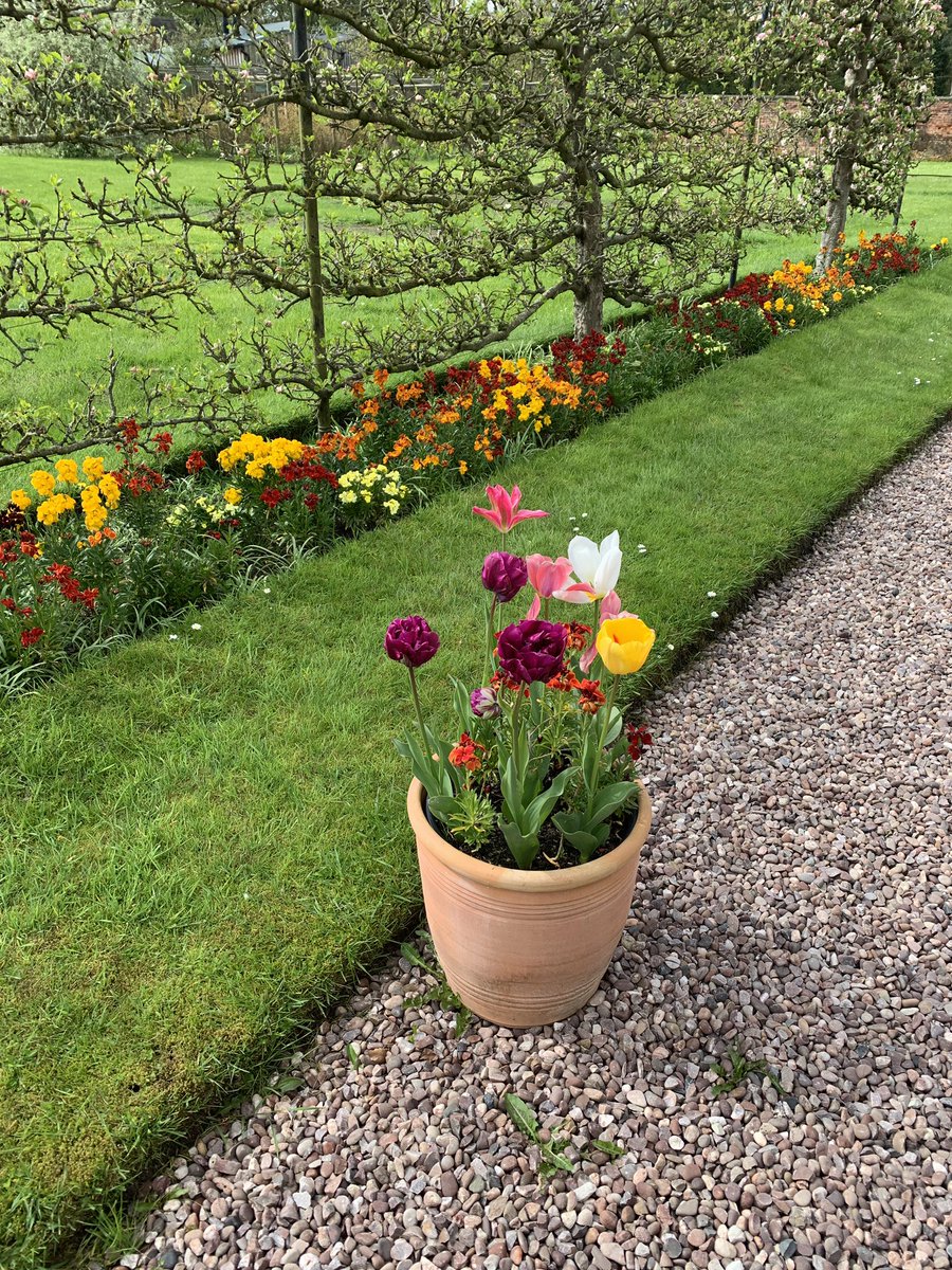 Great start to the weekend <a href="/RodeFarmersMrkt/">RodeHallFarmersMrkt</a> Bluebell walk. Lovely and peaceful this morning…
