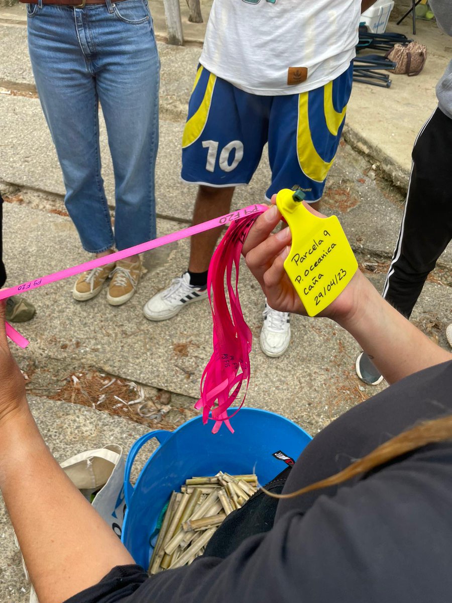 Arrels Marines tweet media