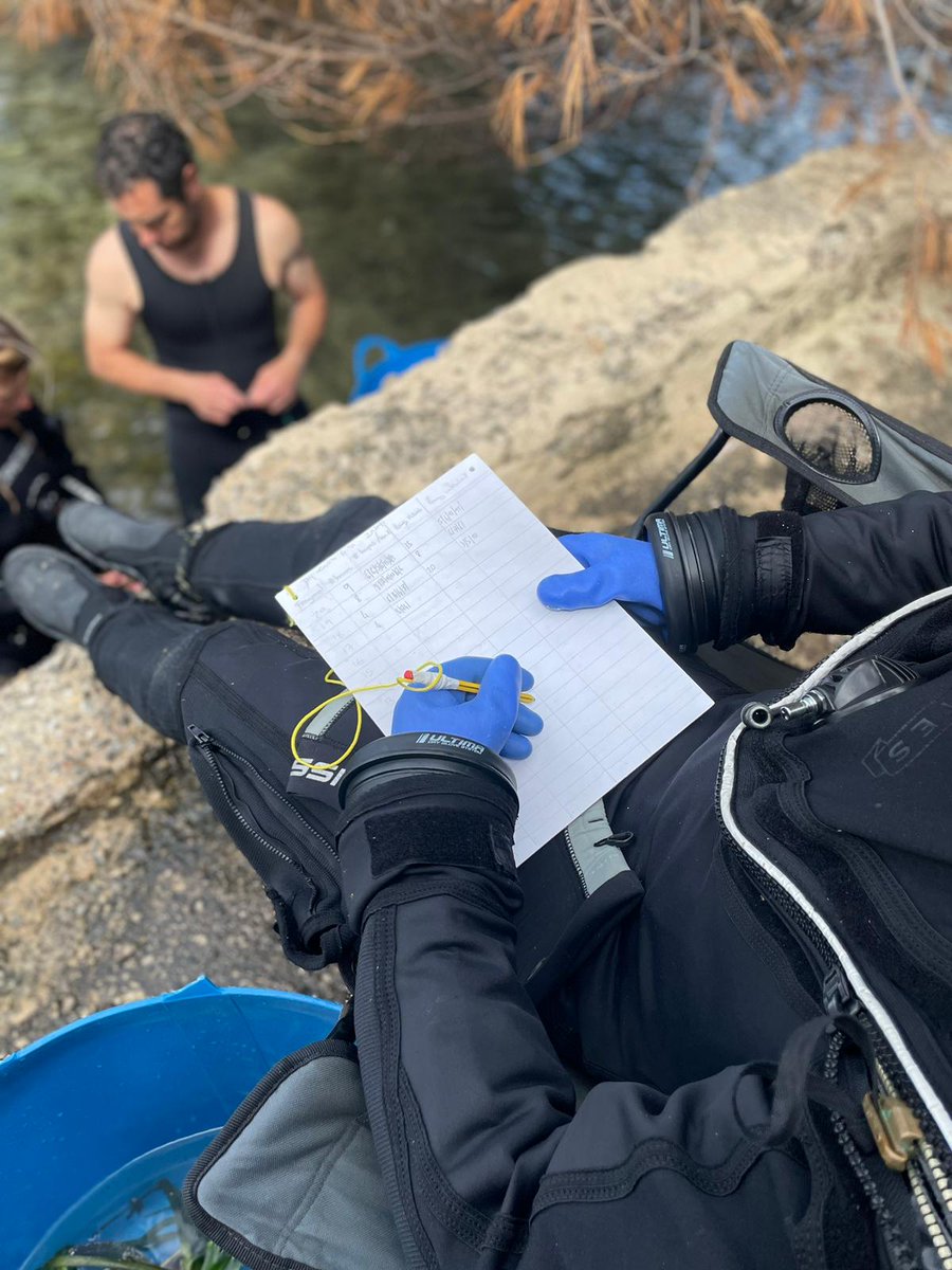 Arrels Marines tweet media