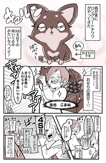 親馬鹿カーニバルの火蓋が切られた話