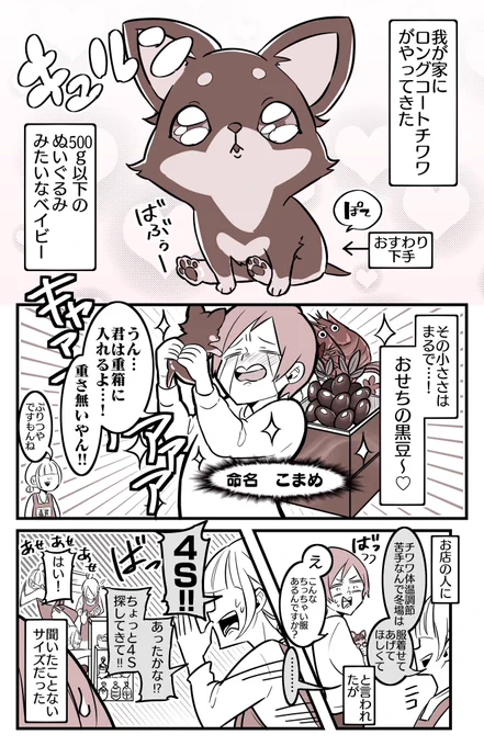 親馬鹿カーニバルの火蓋が切られた話