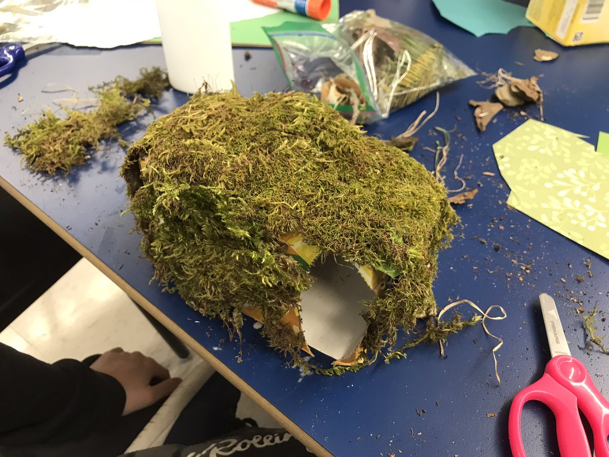 SusanGalbraith4's tweet photo. The grade 4s @SMA_School wowed me with ideas for their animal sculpture mini habitats. @ASD_West #CreateConnectCommunicate https://t.co/k9PS4XdETK