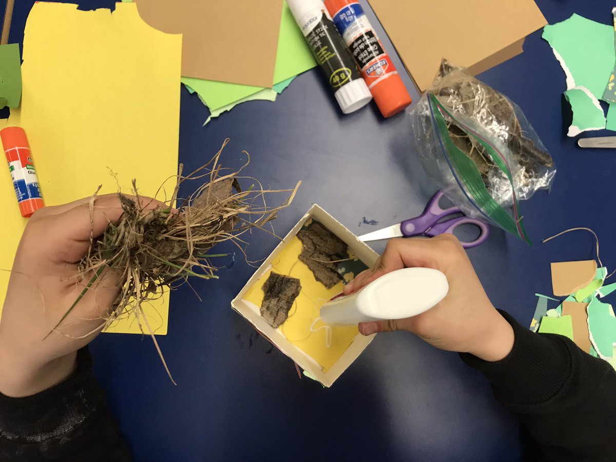 SusanGalbraith4's tweet photo. The grade 4s @SMA_School wowed me with ideas for their animal sculpture mini habitats. @ASD_West #CreateConnectCommunicate https://t.co/k9PS4XdETK