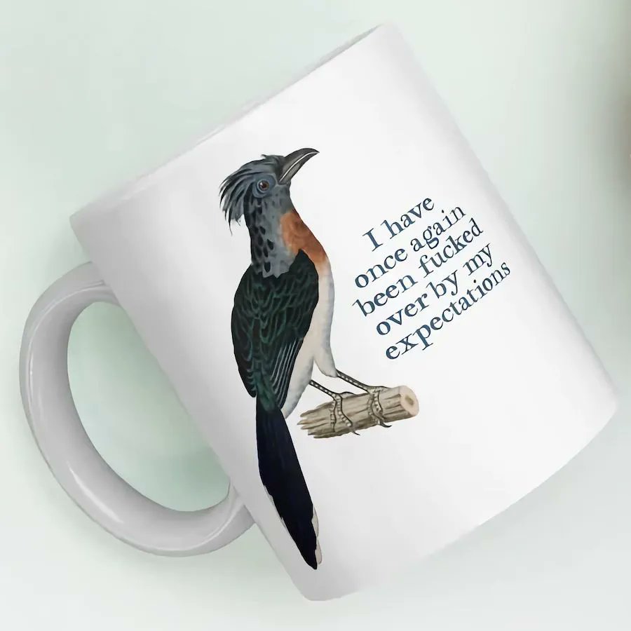 EffinBirds's tweet photo. Let the world know you regret ever giving them the benefit of the doubt. The entire "I Have Once Again Been Fucked Over By My Expectations" collection of mugs, shirts, stickers and more is available now at https://t.co/eecT4rHIqL https://t.co/pjRXn2hgkN