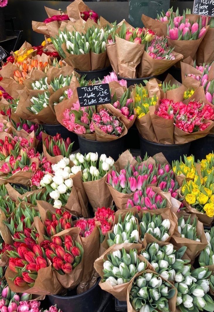 liviuuh's tweet photo. lots of tulips <3 https://t.co/9csDduJMnw