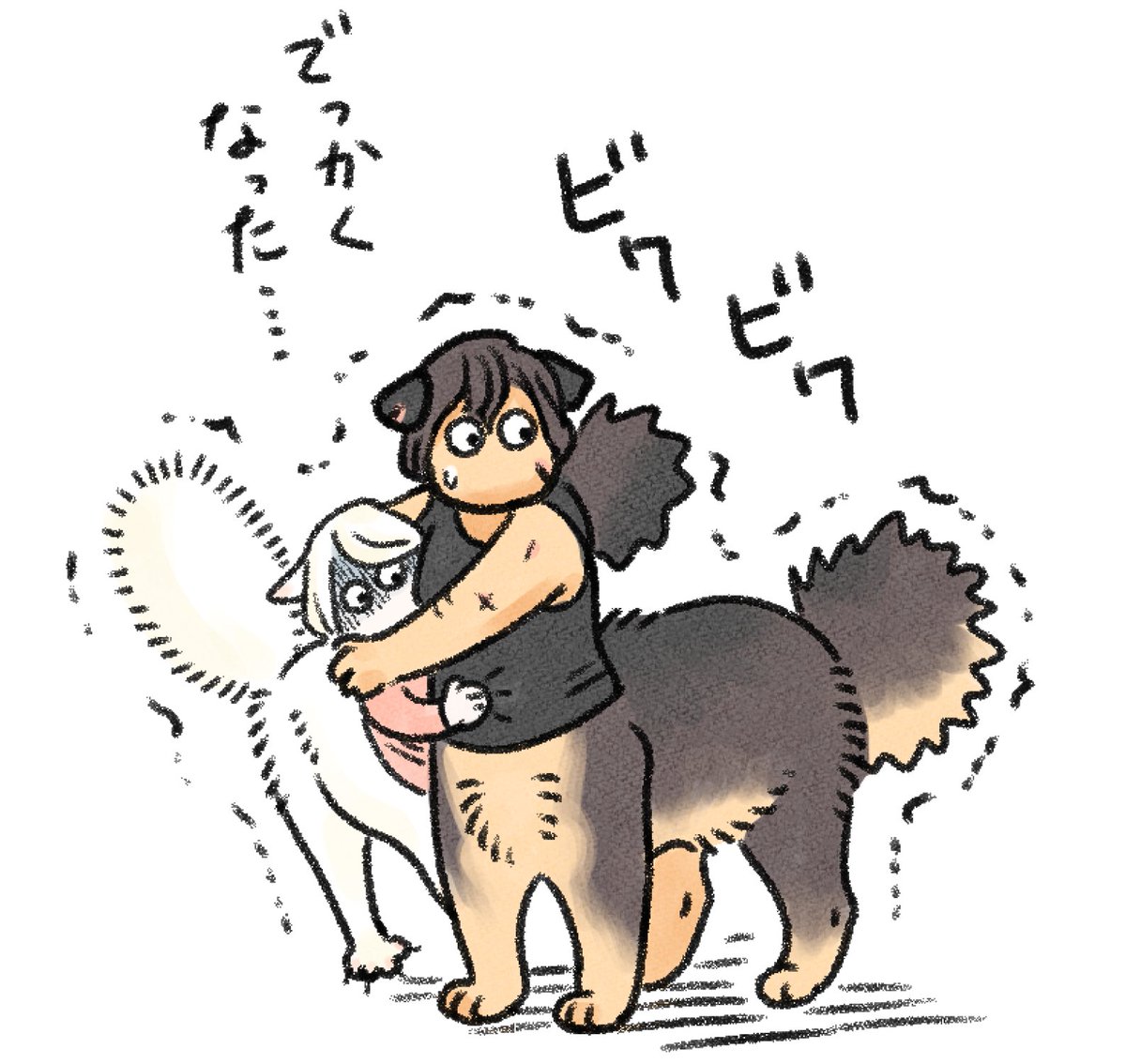カワイイ 