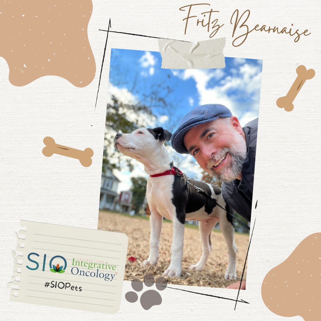 Meet Fritz Bearnaise, rescue puppy of Ryan J. Smith M.S. L.Ac., a member of the SIO #Acupuncture SIG who created an #acupressure app to help people with cancer feel less tired. #SIOPets 

#cancerfatigue #sleep #integrativeonc #research #integrativeoncology