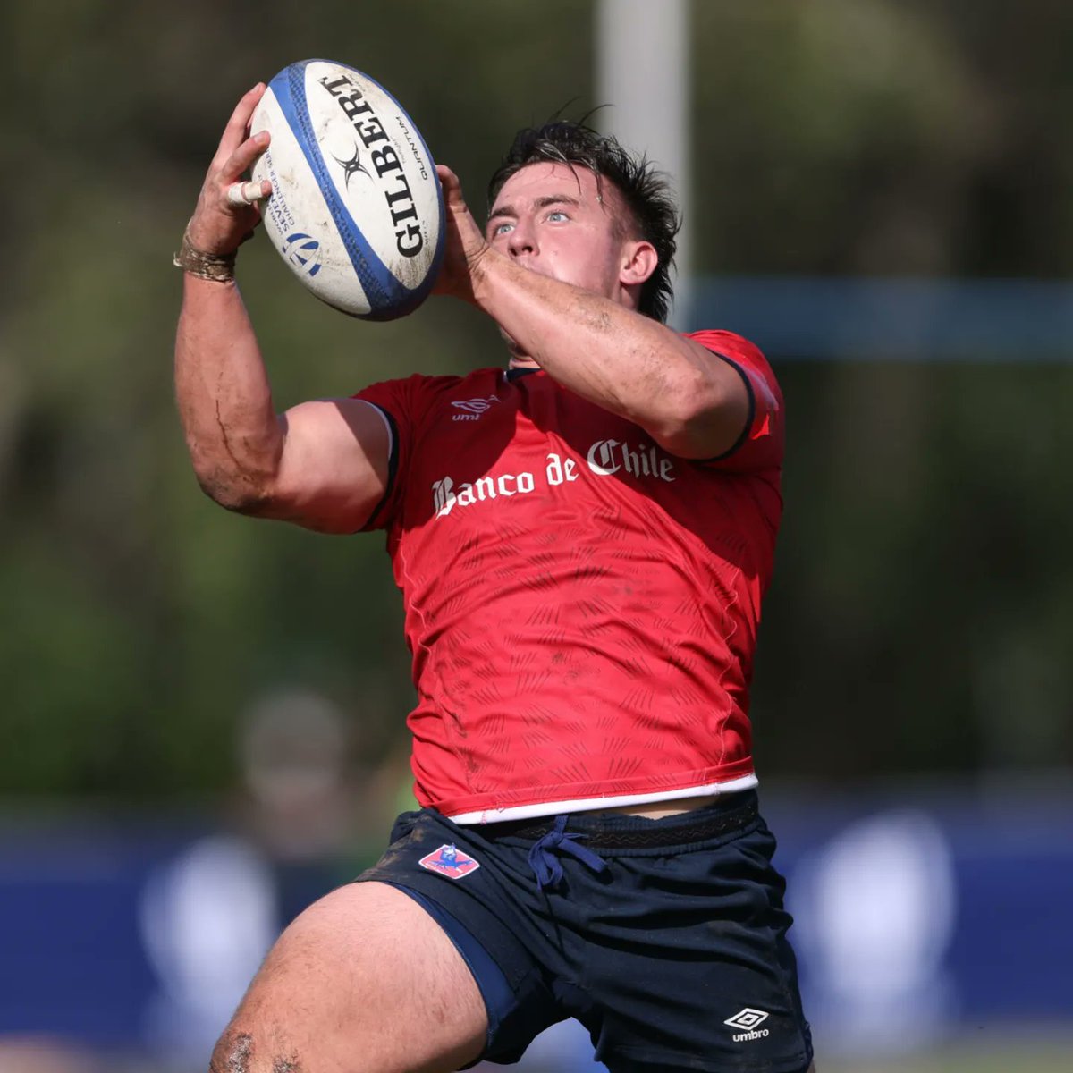 chilerugby's tweet photo. 𝙂𝘼𝙉𝘼 𝘾𝙃𝙄𝙇𝙀‼️ 🇨🇱34-7🇯🇲 

TRIES
Luca Avelli
Diego Greiber
Martin Dumay (2)
Tomas Salas

CONVERSIONES
Tomas Salas

#condores7s
#condoresrugby
#chilerugby
#challengerseries2023

Presenta @bancodechile 
#ElBancoDelRugby

Auspicia @BurgerKingCL https://t.co/usla2fs2aA