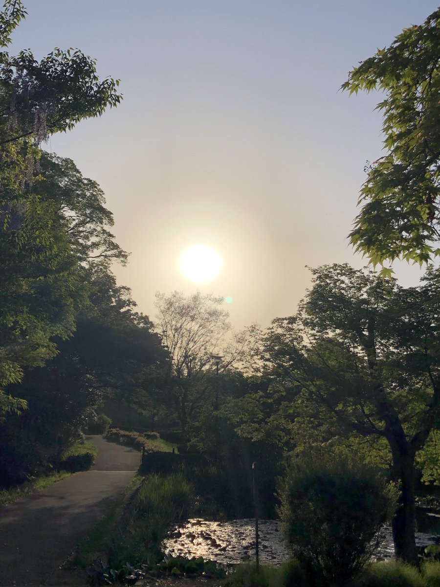 frog7691's tweet photo. 夕方☀️ https://t.co/uW9o6onuBI