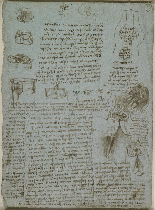 Rainmaker1973's tweet photo. This paper from 1512 is where Leonardo annotated his experiment to understand the blood flow through the valves of the heart, by pouring hot wax into one, making a mould of thin glass from the cast and then pumping water mixed with seeds through it https://t.co/3g3dOdLX4h https://t.co/IagVcPOfBM