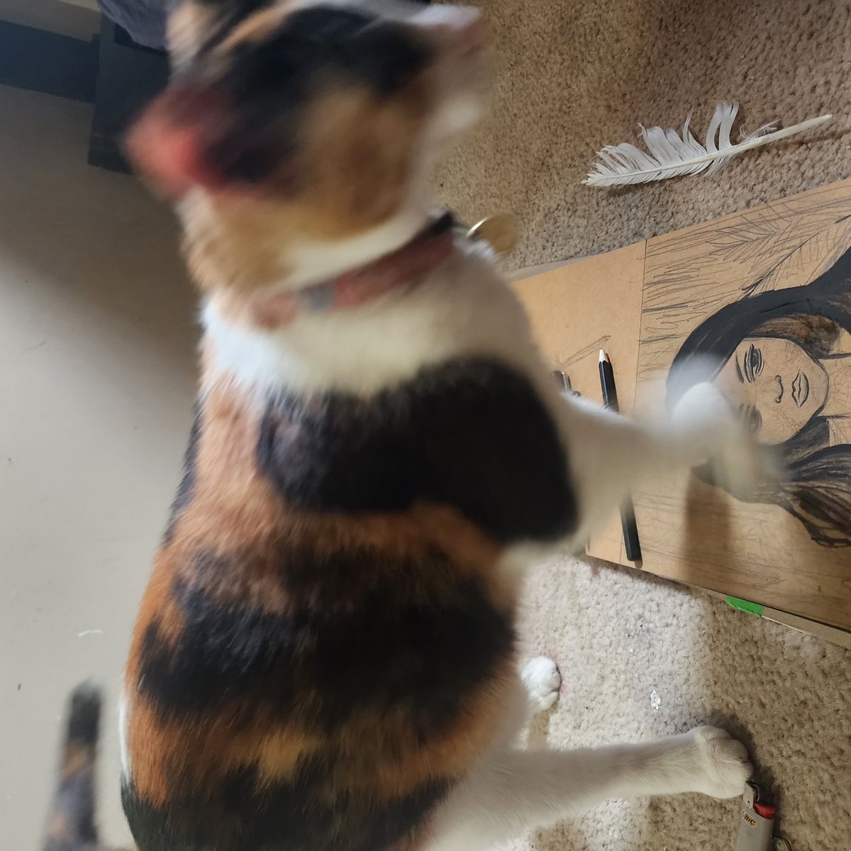 MakerMoth's tweet image. PoV: passing the time with art, but the cat has other ideas