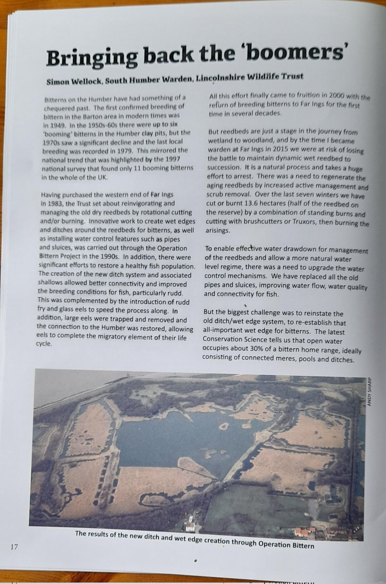 4peatssake2's tweet photo. Nice piece about @LincsWildlife Far Ings in Conservation Management 22🙂 Reports on the return of the Bittern👍 Fabulous results in 2022 with four nests fledging nine young well done to @Pernisaviporus &amp; team &amp; all involved throughout the reserves history👏👏👏 https://t.co/FHZMbMEslM