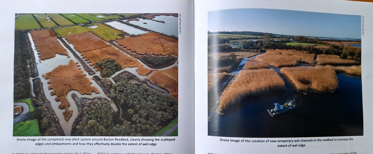4peatssake2's tweet photo. Nice piece about @LincsWildlife Far Ings in Conservation Management 22🙂 Reports on the return of the Bittern👍 Fabulous results in 2022 with four nests fledging nine young well done to @Pernisaviporus &amp; team &amp; all involved throughout the reserves history👏👏👏 https://t.co/FHZMbMEslM