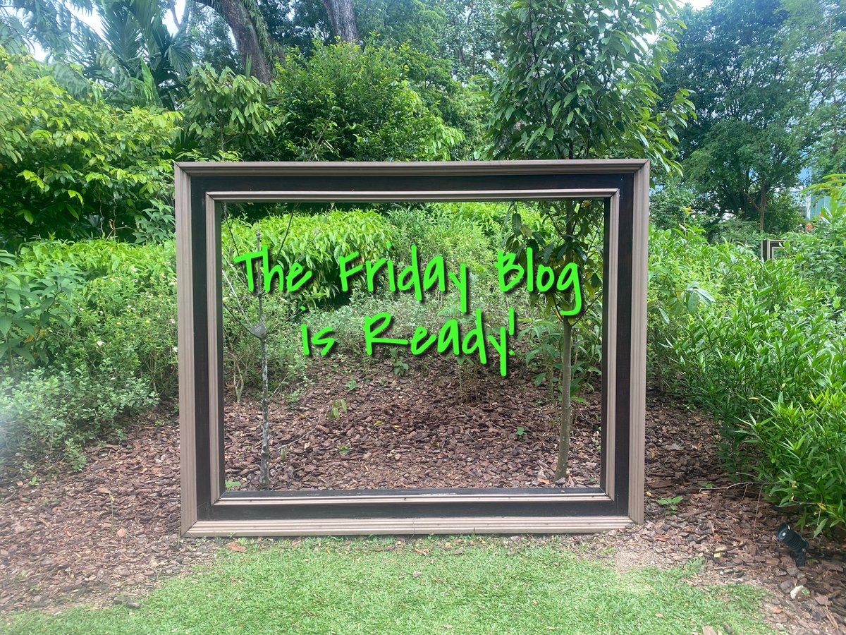 onceuponasaga's tweet photo. THE #FRIDAYBLOG IS READY! ππ
Here's a list of what ultra-wifey and I did during ourΒ ten days together in Singapore. And a surprising story to go with that.
I wrote it all for you π
https://t.co/jVXZbE7WHY
And have a great weekend wherever you are πππβ¨
#onceuponasaga #ModernViking #Singapore