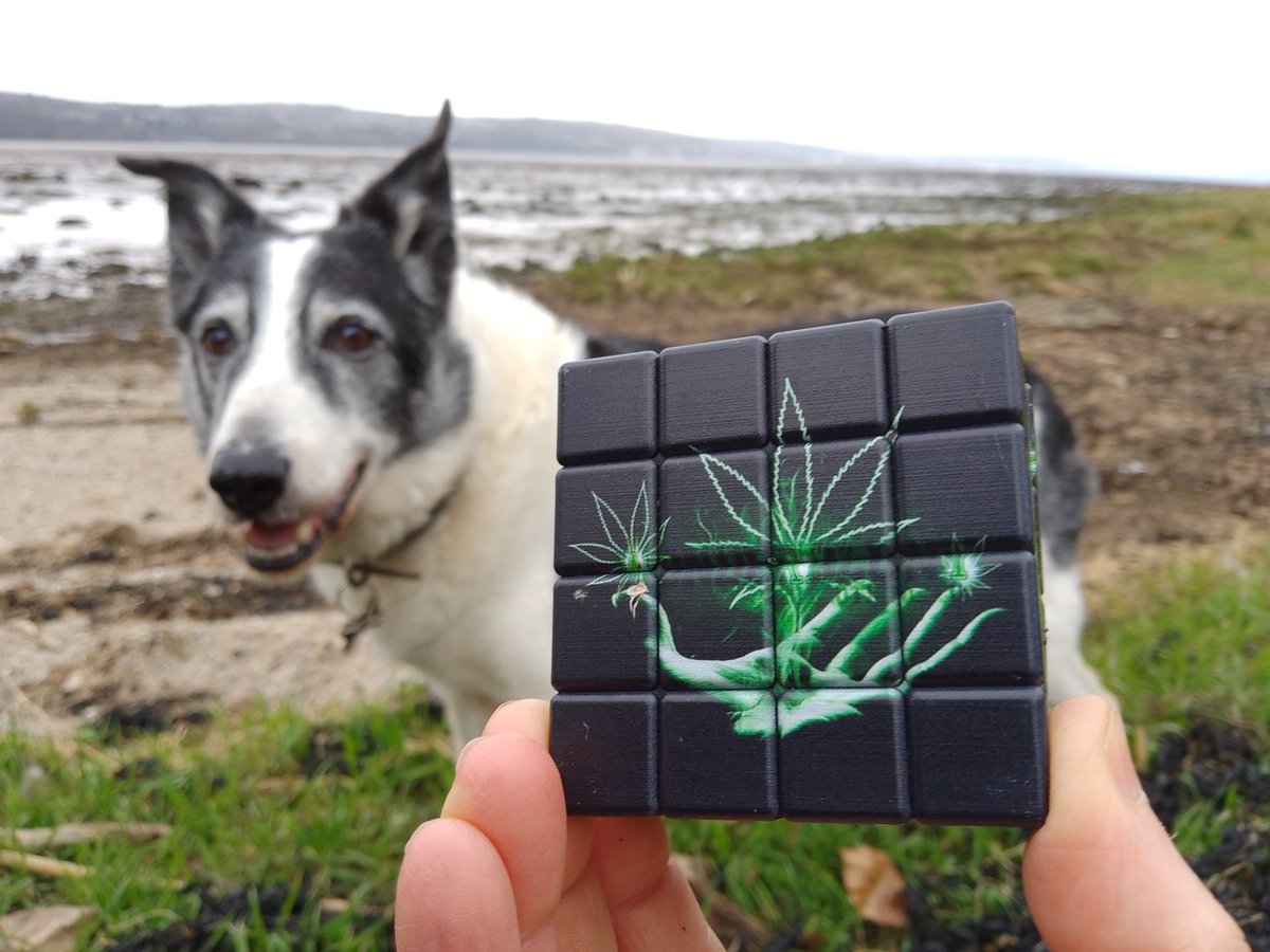 shorethingG82's tweet image. Our final entries for April's #StrangestFinds - group member Liz Daly @earlylearner found this number plate on her regular #litter pick patch near Dumbarton Rock, while Mackie sniffed out this on Havoc's shore...let's call it a coffee grinder...@cornishspliced