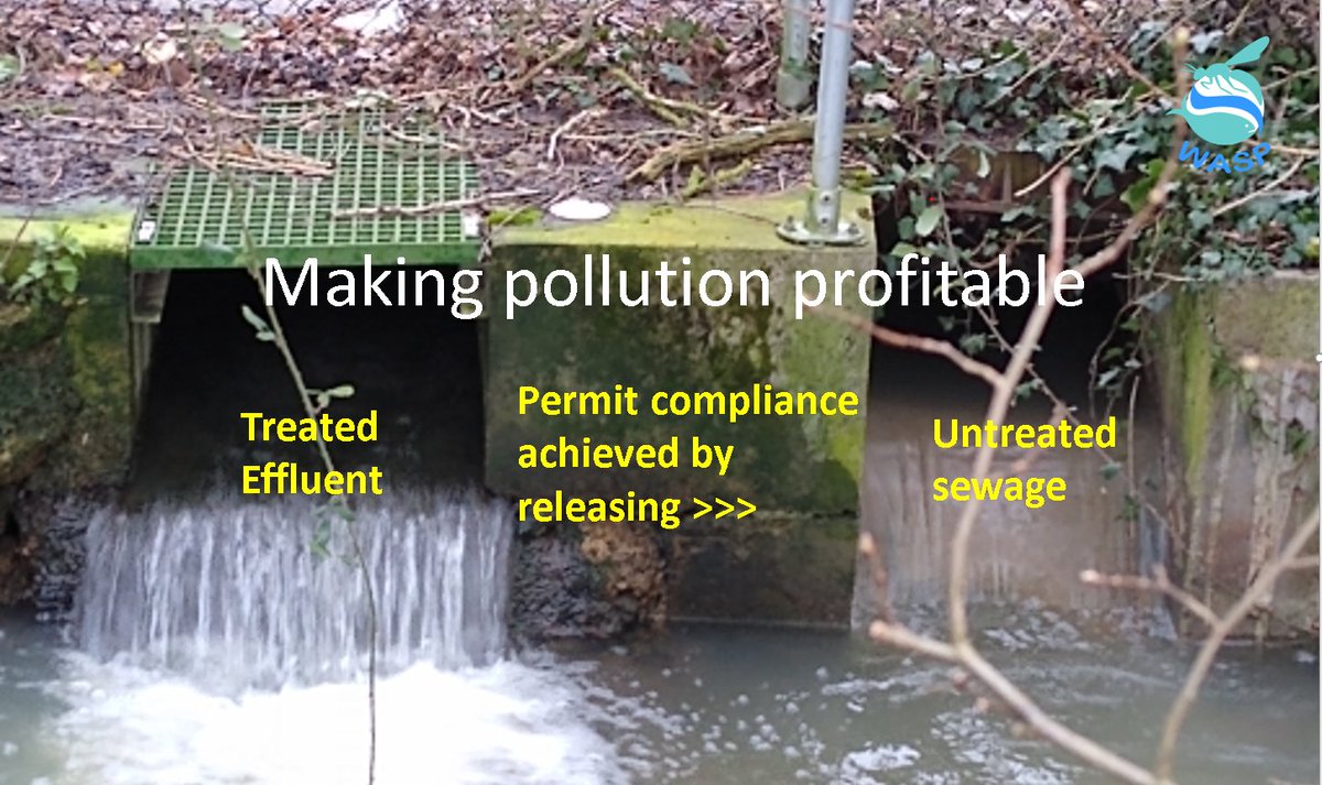 Sewage works continue to operate illegally due to conscious commercial decisions at the top pf the water industry. No one even remotely near the top has ever been prosecuted. Illegal pollution remains profitable. <a href="/theipaper/">The i Paper</a> <a href="/guardian/">The Guardian</a> <a href="/FT/">Financial Times</a> <a href="/BBCNews/">BBC News (UK)</a> <a href="/DeborahMeaden/">Deborah Meaden 🇺🇦</a> <a href="/RiverActionUK/">RiverActionUK</a>