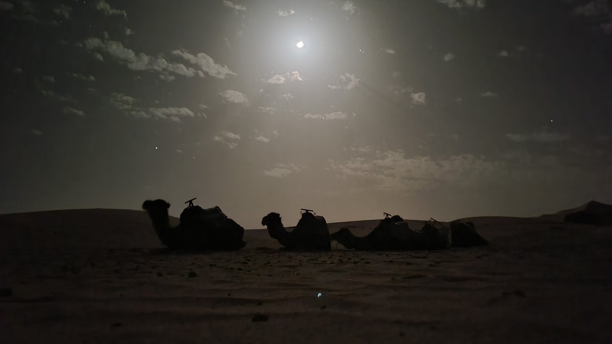 akashirokekkyu's tweet image. 生存報告