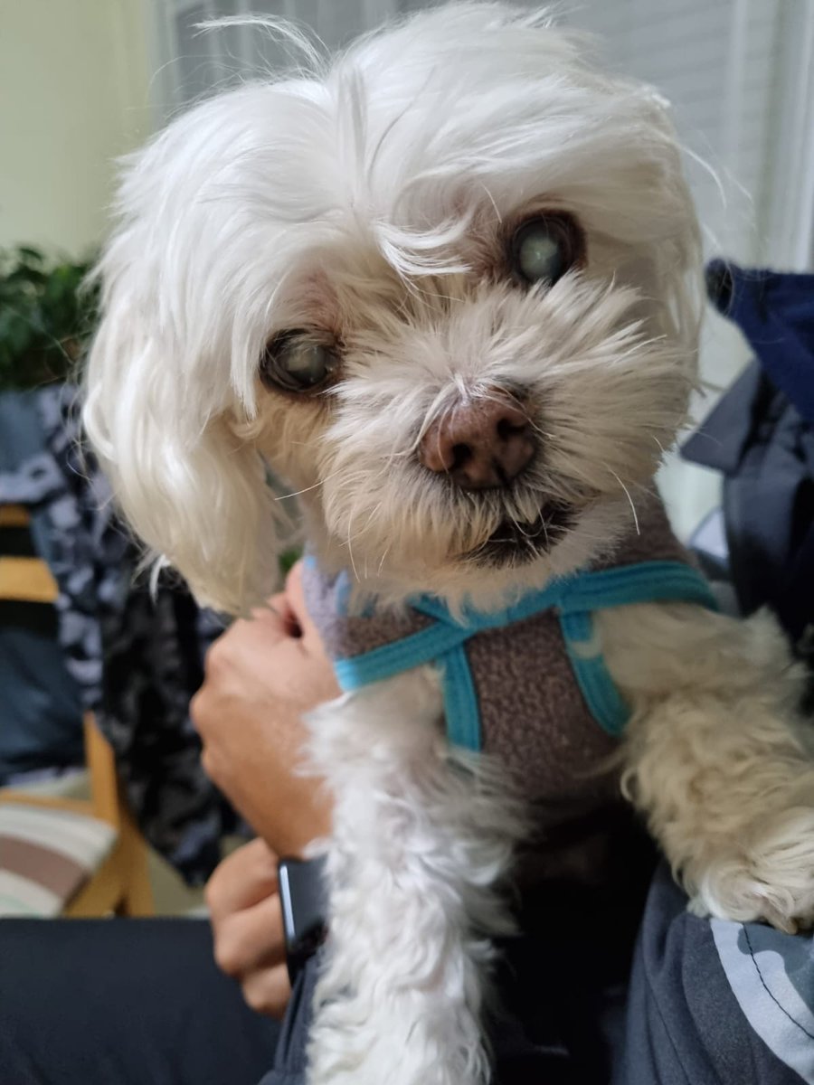 🏳️‍🌈 Martin Noir tweet media