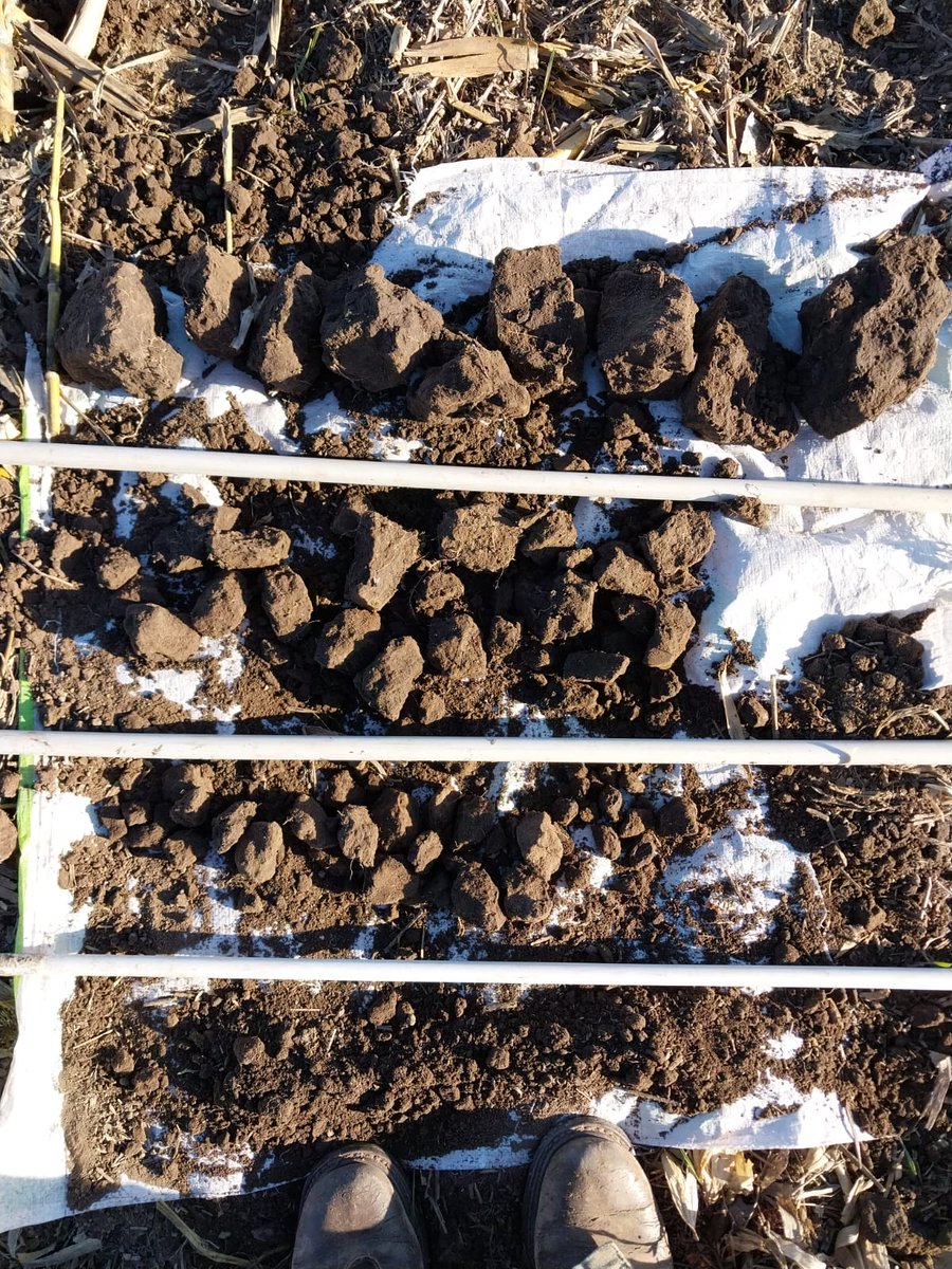 DiegoHugoPerez's tweet photo. 2 lineas bases mas, certificacion de secuestro de carbono en sistemas agricolas, AGSUS
@AgrIgnacio30653 https://t.co/qnTUnNJRf4