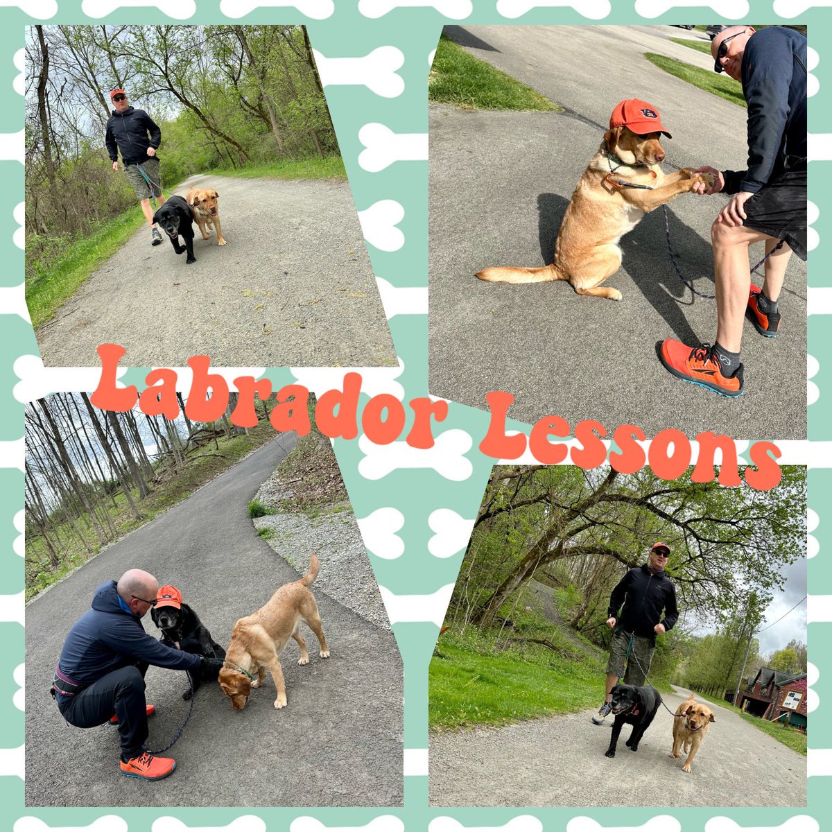 #LabradorLesson from #FitLabPGH (link below): Don’t get ticked off. Tips to minimize tick risk for dogs (and their humans)

#TickPrevention #TickEncounter #LymeDisease #LymeDiseaseAwareness

bit.ly/FLP-TickedOff