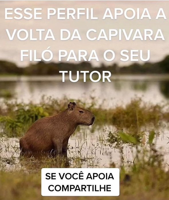 MarcelaFavinha tweet picture