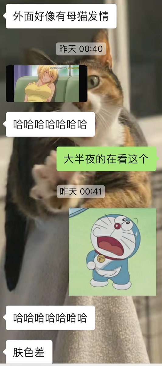 猹 tweet media