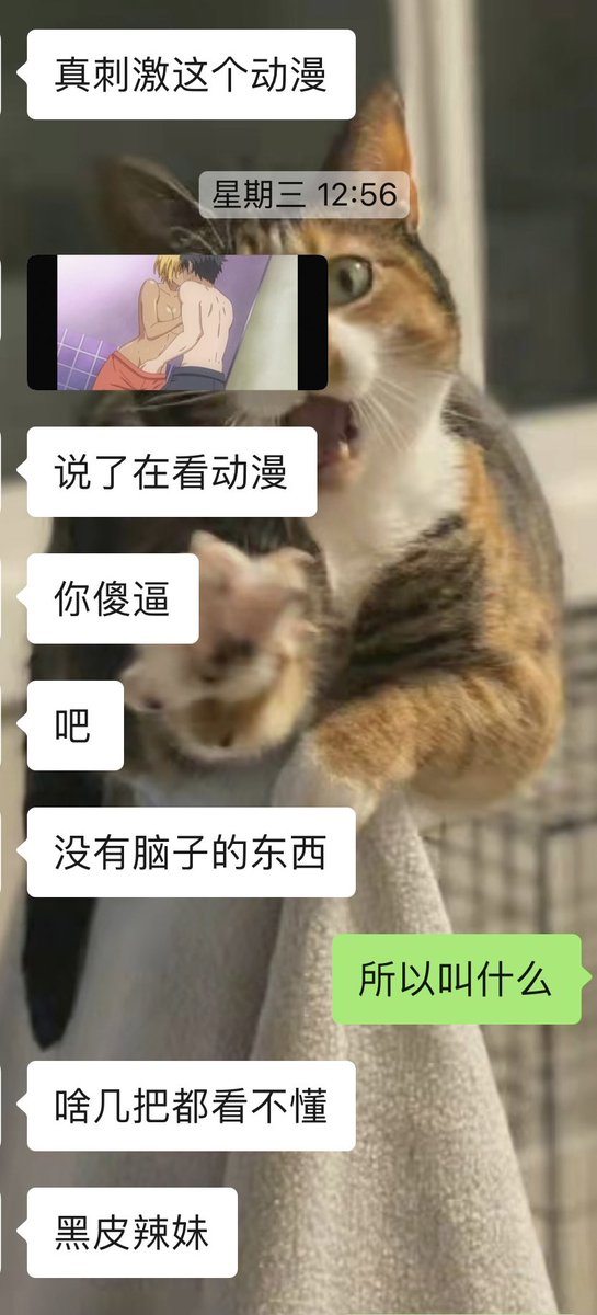 猹 tweet media