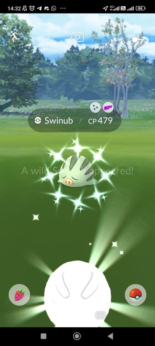 DewataMonmon's tweet photo. Comday Classic Swinub
Denpasar Bali ππ
@PoGo_Indonesia
#pokemonGOCommunityDay
#comunityday2023
#comunitypokemongo
#comunitydayclasic
#swinub
#pogoindonesia
#pogobali
#bali
#denpasar #renon #bajrasandhi
#monmondewata https://t.co/UaifcjydSU