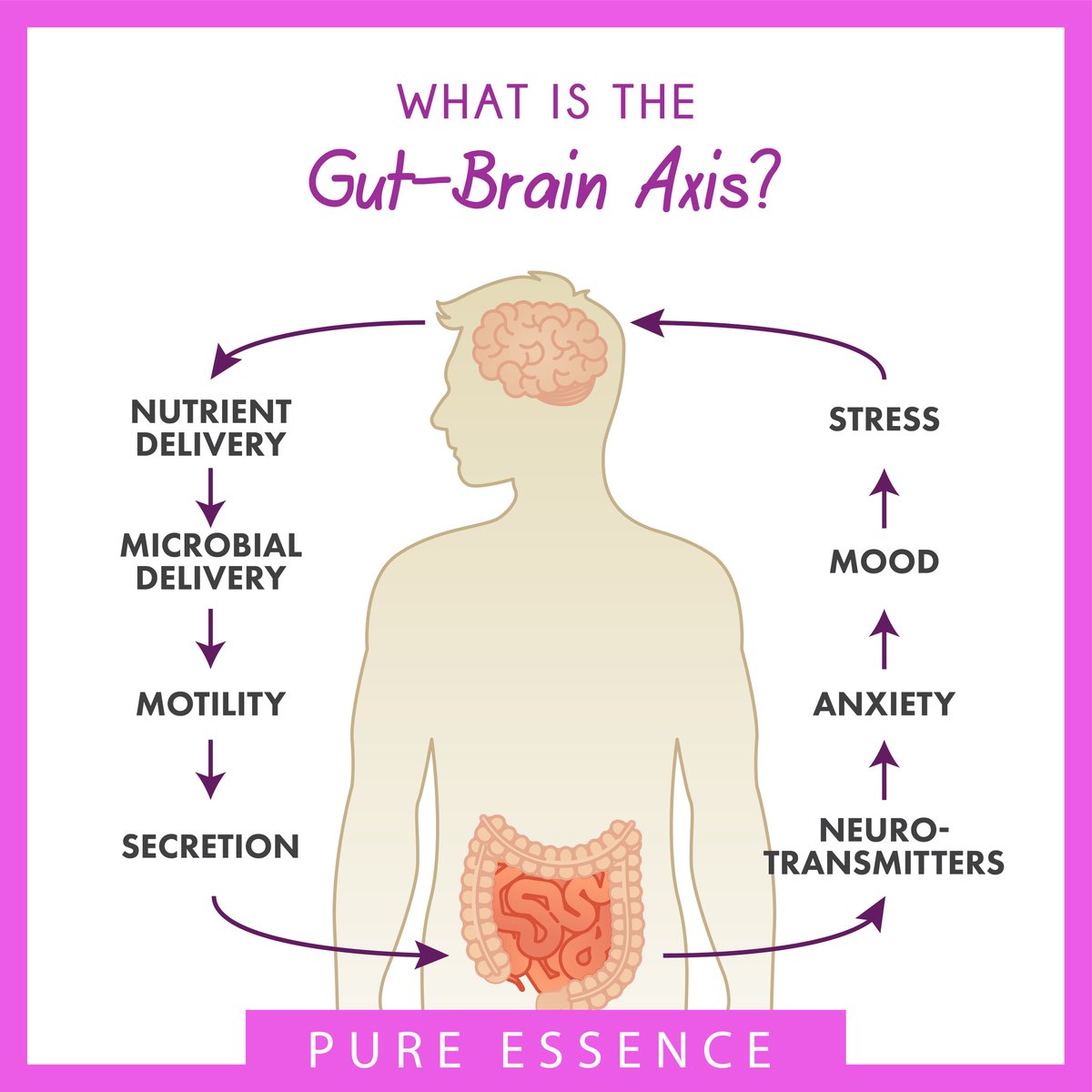 PureEssenceLabs's tweet photo. Familiar with #gut feelings? This results from the connection known as the gut-brain axis or #GBA. The GBA is also a reason why stress can upset your gut. Discover more about the relationship between stress and your gut ➡️ https://t.co/1n9ecFTHv9 https://t.co/heVIIYvq7K