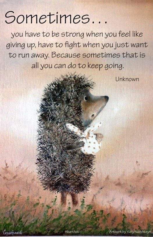 chrisharte16's tweet photo. @ThatHadleyChick https://t.co/G2CobZ2sdu