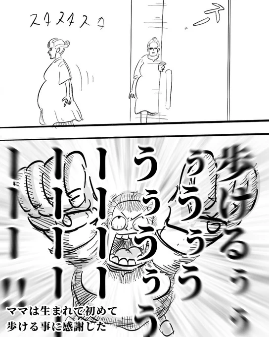 2/4 