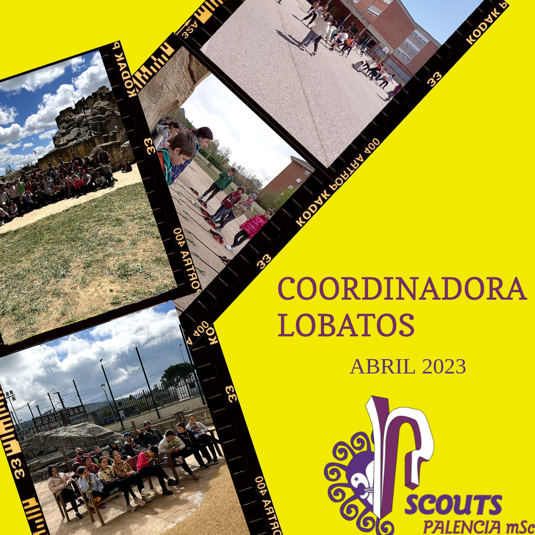 scoutspalencia's tweet photo. El fin de semana de San Jorge, los lobatos hicieron una acampada en las Bases del @GSCastilla  Disfrutaron todos juntos en la Roca, de  San Jorge y muchas actividades más. ¡Han sido unos días intensos llenos de emociones!
Muchas gracias a Maristas por dejarnos las instalaciones https://t.co/J108p76aaA