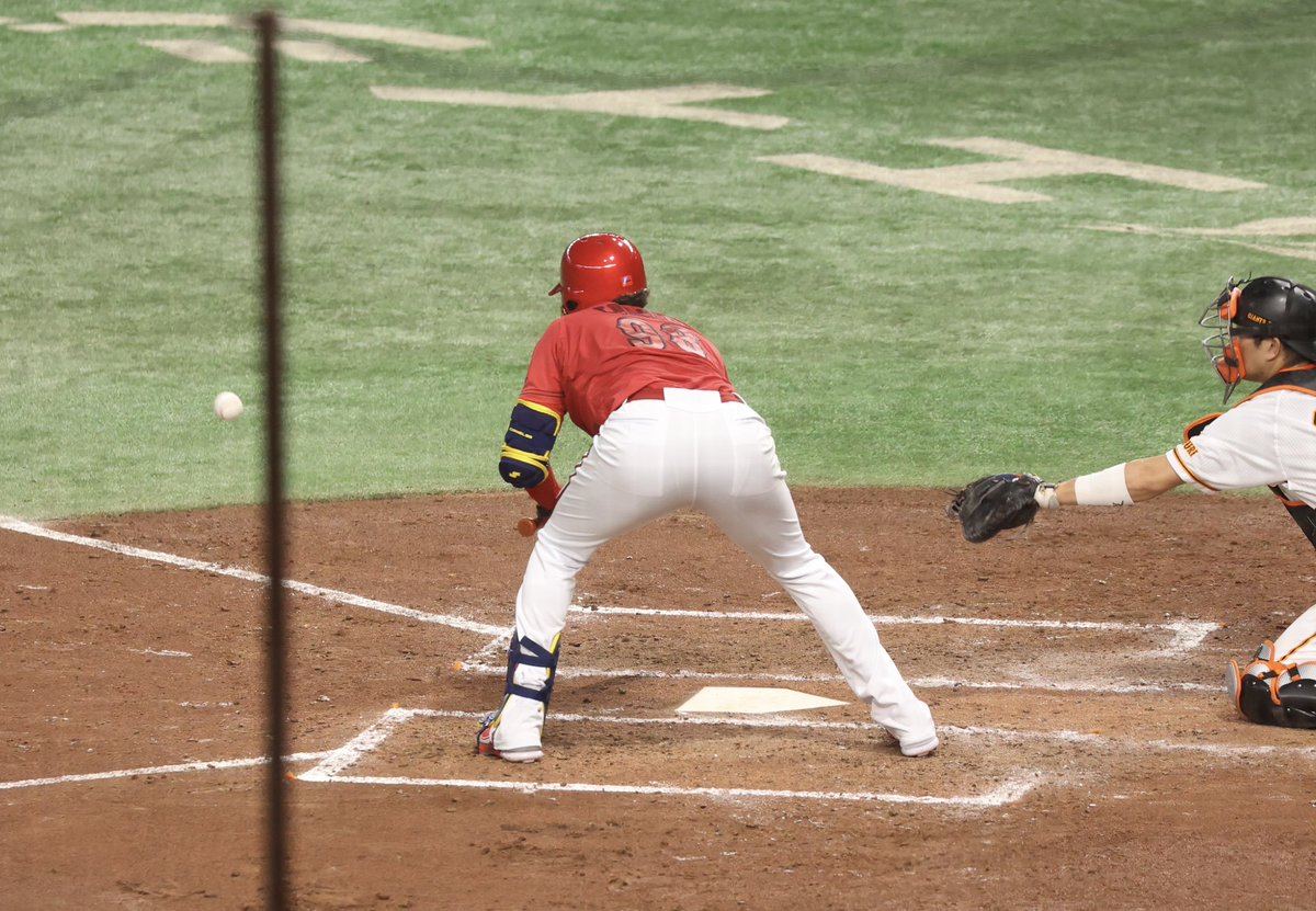umkp_carp60's tweet photo. バンドも決めたから勝たせて〜〜〜🙏
20230429東京D
#ロベルトコルニエル #コルニエル #RobertCorniel #corniel https://t.co/UVXbkQfCPO