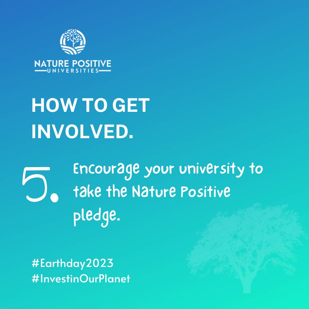 futureforfutur_'s tweet photo. Jour 5 de notre campagne digitale : Comment s'impliquer ?

👉🏿 Encouragez votre université à prendre l'engagement pour devenir "Nature Positive".
👉🏿 Menez des activités en équipe pour la salubrité et la sauvegarde des espèces...

#GenerationRestoration @NaturePosUni @EragbieFavour https://t.co/3rAidMMqKP
