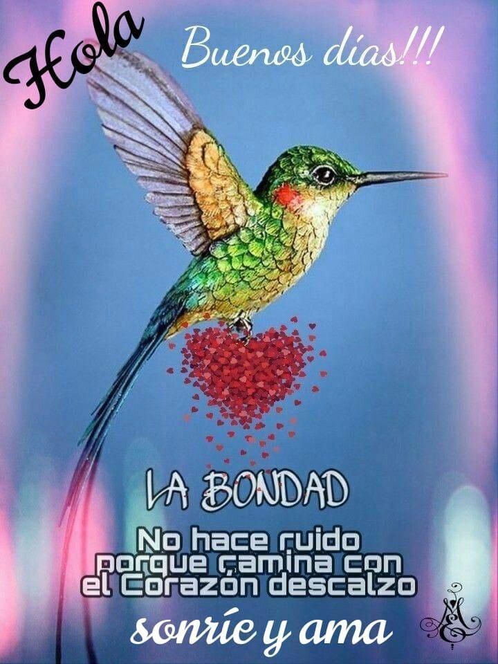 Mario60414407's tweet photo. @lamayorde3 https://t.co/0ReomWdXi1