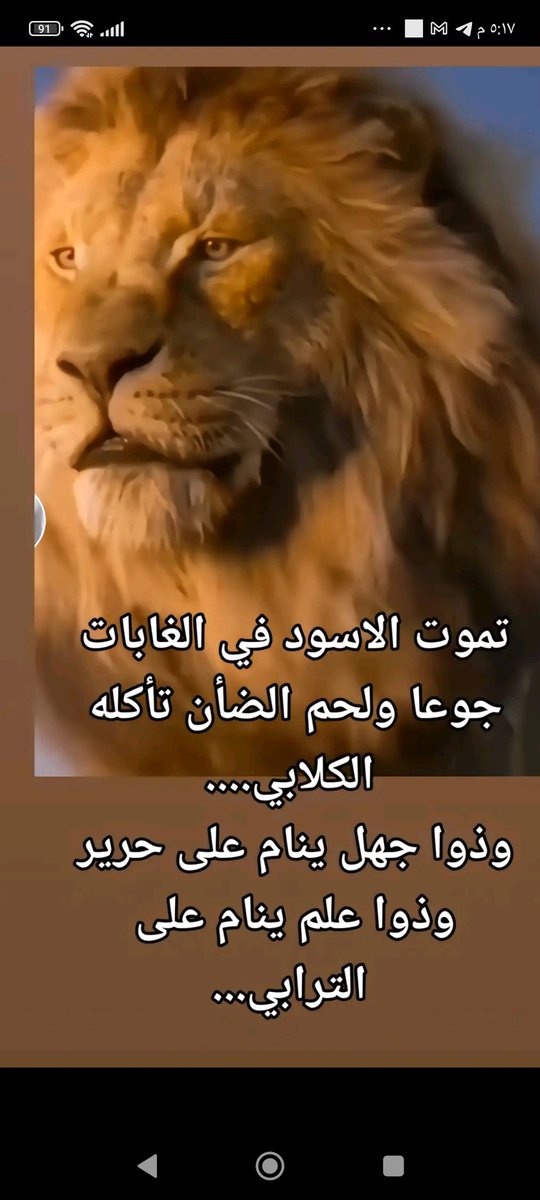 خبرة قانونية (@ftataljwza) on Twitter photo 