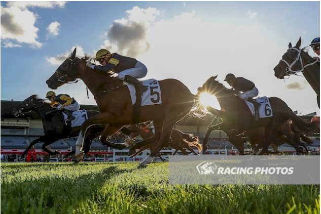 Great to be part of a double for master trainer <a href="/Grahame_Begg/">Grahame Begg Racing</a>, and a treble for <a href="/JChilds47/">Jordan Childs</a> with Cardinal Gem in another stakes win <a href="/MelbRacingClub/">Melbourne Racing Club</a>  Thanks to <a href="/rohanjhughes/">Rohan Hughes</a> for selecting him, and all ownership management. Onwards and upwards to the G1 Stradbroke <a href="/BrisRacingClub/">Brisbane Racing Club</a>