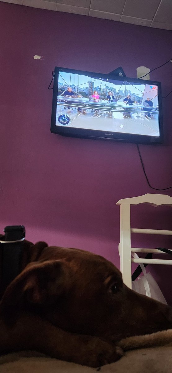 varsol's tweet photo. @todonoticias #EsteFinde 
Con mucha fiaca de sábado feliz día!!! Buen finde https://t.co/sYkKePCWwV