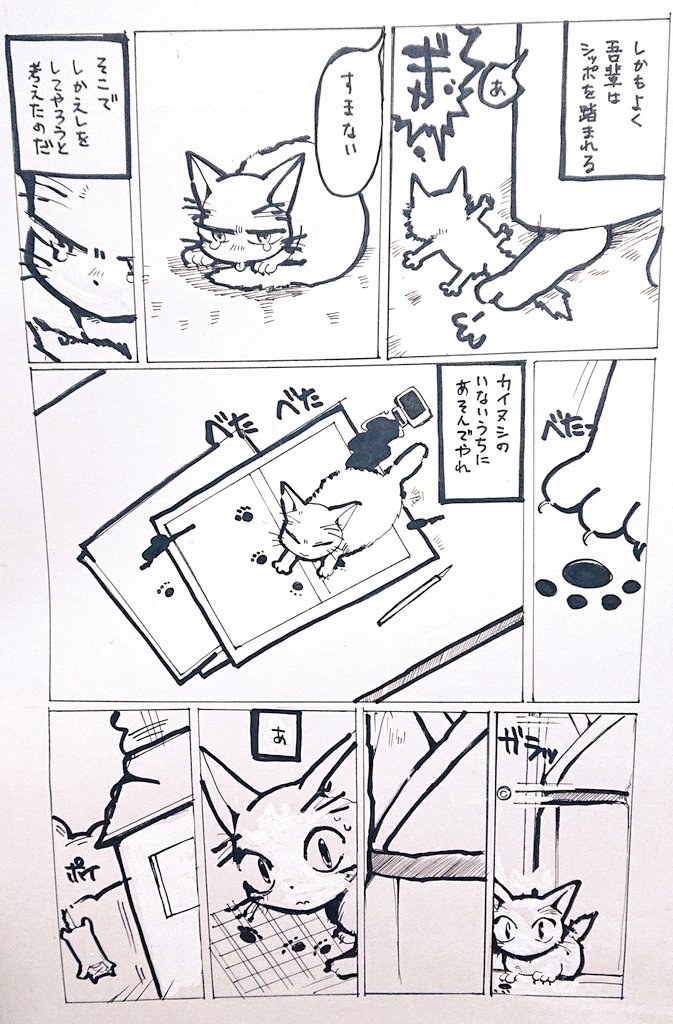 太古に描いた猫まんが① 