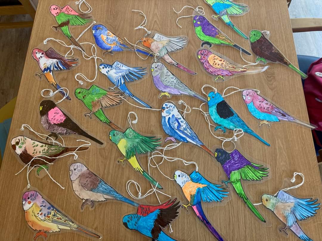 A Celebration of Cheerful Chatter!
Did you or do you still own a budgie?

Join storyteller Cat Weatherill & visual artist Anne Brierley from The Blue Budgie Project at Wednesbury Library and share your memories of pet budgies.

Wednesday 10 May From 10 am 👍
#Artscouncilengland