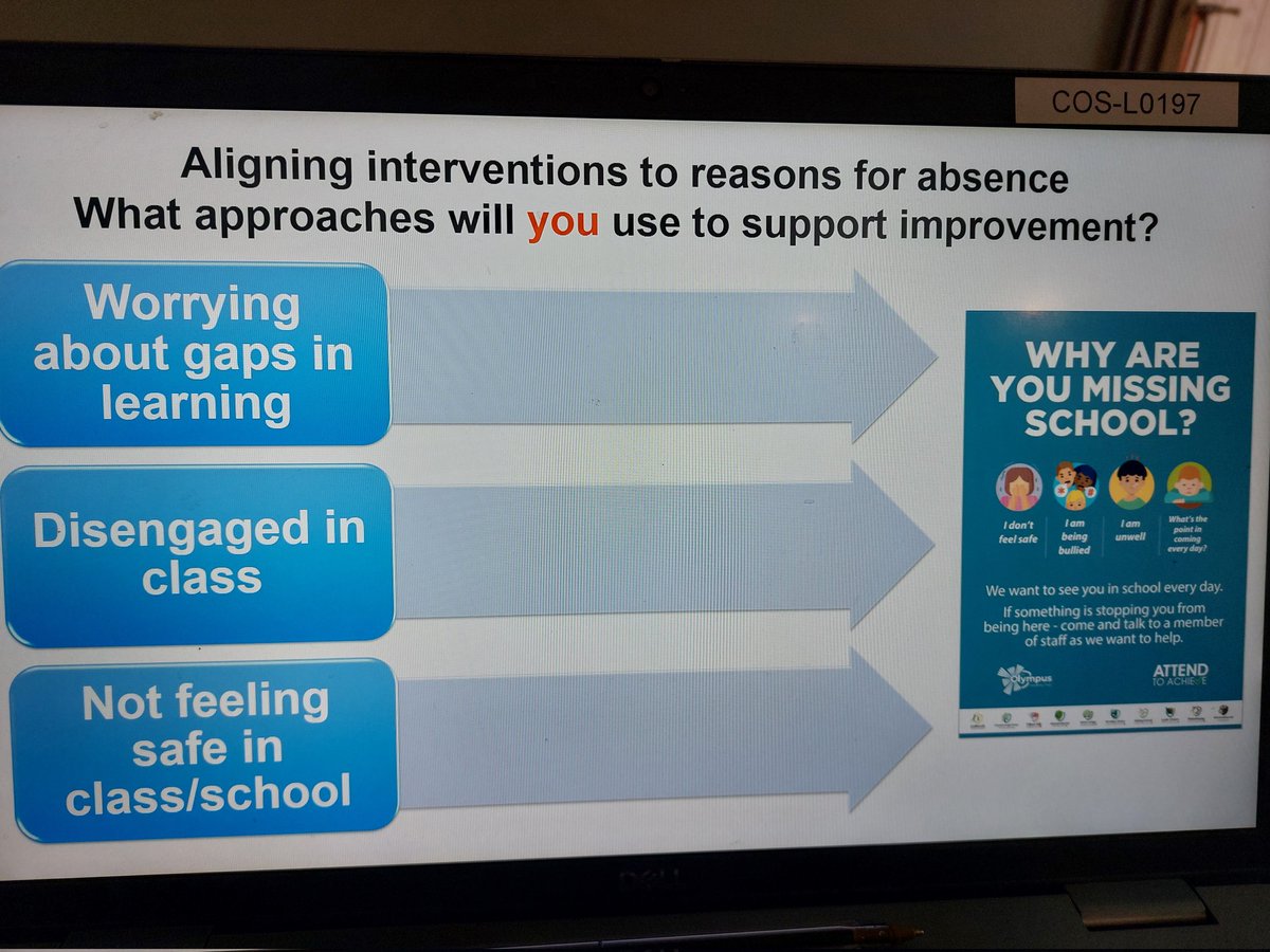 SusieBeresford-Wylie tweet media