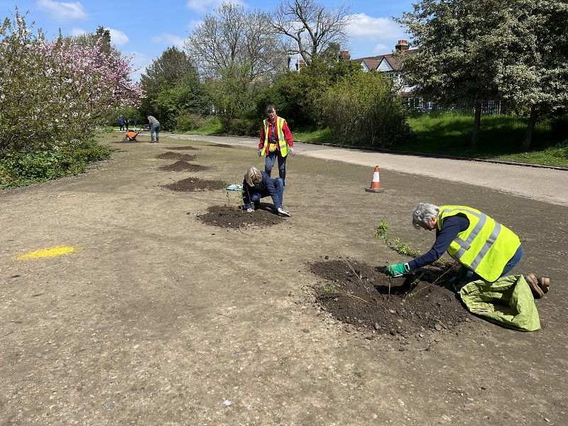 SPUG123's tweet photo. One of our rewilding projects gets underway. Planting hawthorn bushes for the benefit of visitors, both wildlife and people. https://t.co/T0HxsPeTXe