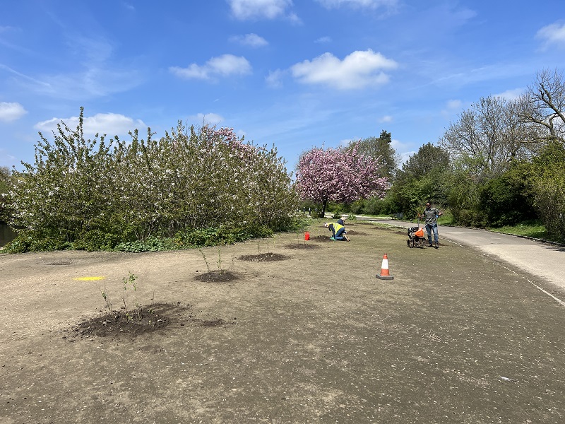 SPUG123's tweet photo. One of our rewilding projects gets underway. Planting hawthorn bushes for the benefit of visitors, both wildlife and people. https://t.co/T0HxsPeTXe