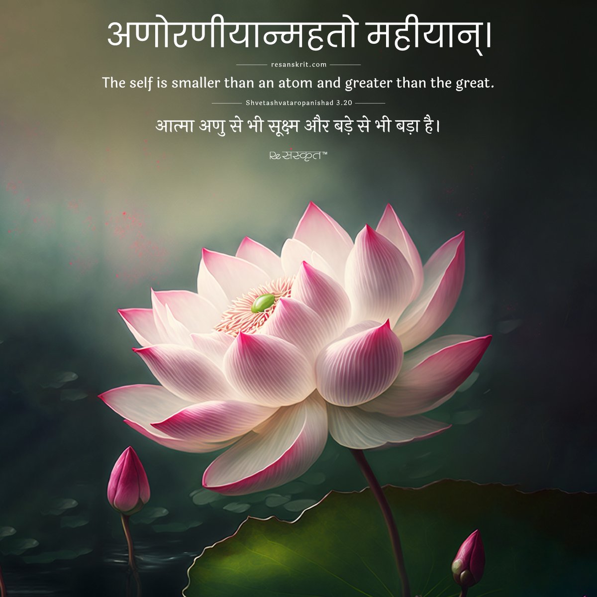 ReSanskrit's tweet photo. The self is smaller than an atom and greater than the great.
Source - Shvetashvataropanishad 3.20

#sanskrit #india #inspirational #quotes #quotestoliveby #quotestagram #love #kindness #happiness #success #positivity #positivevibesonly #positivevibes #dailyquote https://t.co/OfalwfcWd2