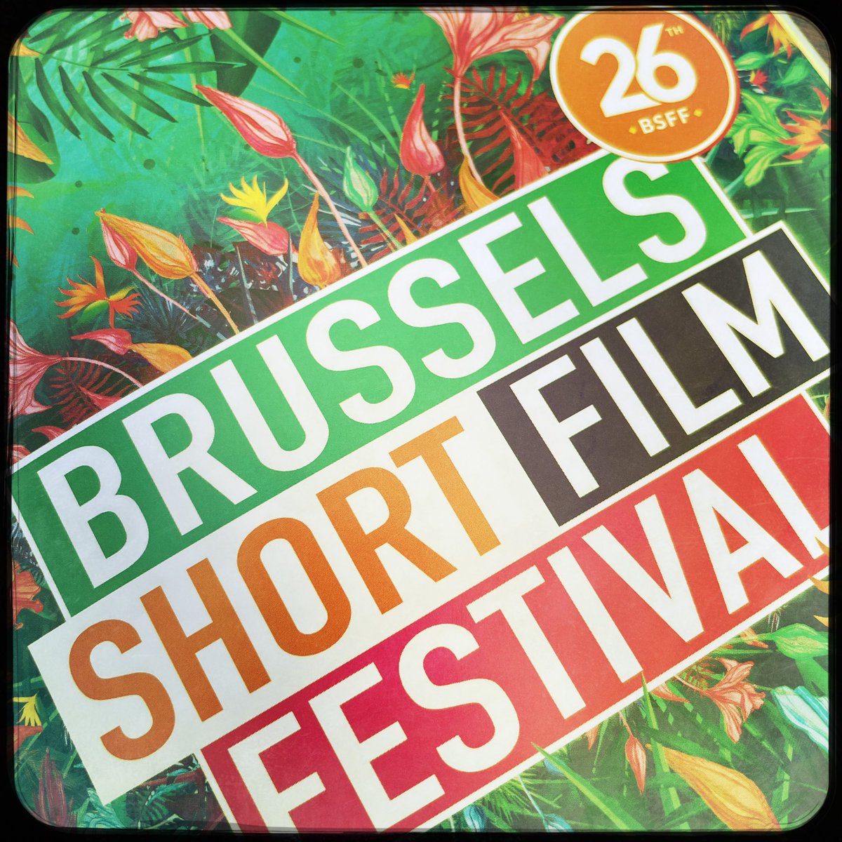 nodolphe ricolle tweet media