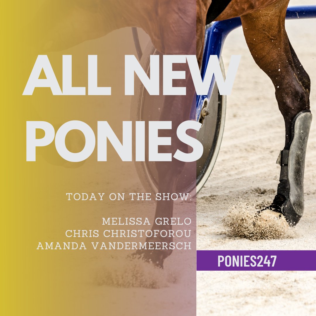 Ponies 24-7 (@ponies247) on Twitter photo Kick start your Saturday with a NEW Ponies! Guests on this episode: Broadcaster and Horsewoman <a href="/melissagrelo/">Melissa Grelo</a>; <a href="/WoodbineSB/">Woodbine Mohawk Park</a> Driver and <a href="/Cdn_HallofFame/">Horse Racing Hall</a> inductee Chris Christoforou; and <a href="/WoodbineSB/">Woodbine Mohawk Park</a> Jockey Amanda Vandermeersch. Listen now! share.transistor.fm/s/01fba0a6 Kick start your Saturday with a NEW Ponies! Guests on this episode: Broadcaster and Horsewoman <a href="/melissagrelo/">Melissa Grelo</a>; <a href="/WoodbineSB/">Woodbine Mohawk Park</a> Driver and <a href="/Cdn_HallofFame/">Horse Racing Hall</a> inductee Chris Christoforou; and <a href="/WoodbineSB/">Woodbine Mohawk Park</a> Jockey Amanda Vandermeersch. Listen now! share.transistor.fm/s/01fba0a6
