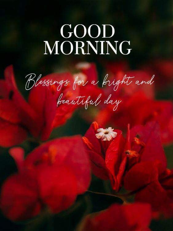 jayani_2001's tweet photo. Good morning 😃 https://t.co/5w6Dy2AAVj