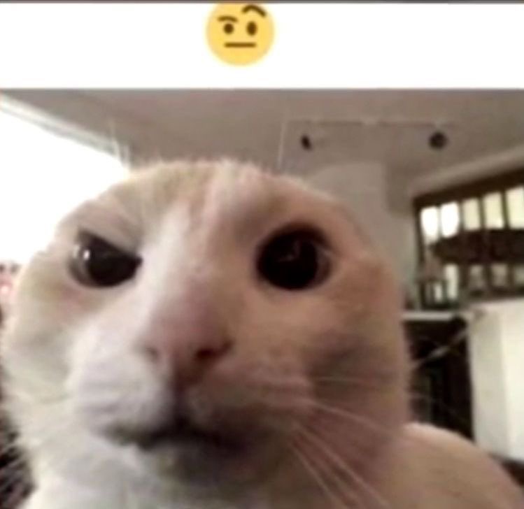 what if the kpop stans unite this time and protect the fifty fifty girlies 🚶‍♀️ bc you're not gonna accuse my sisters of plagiarism like that