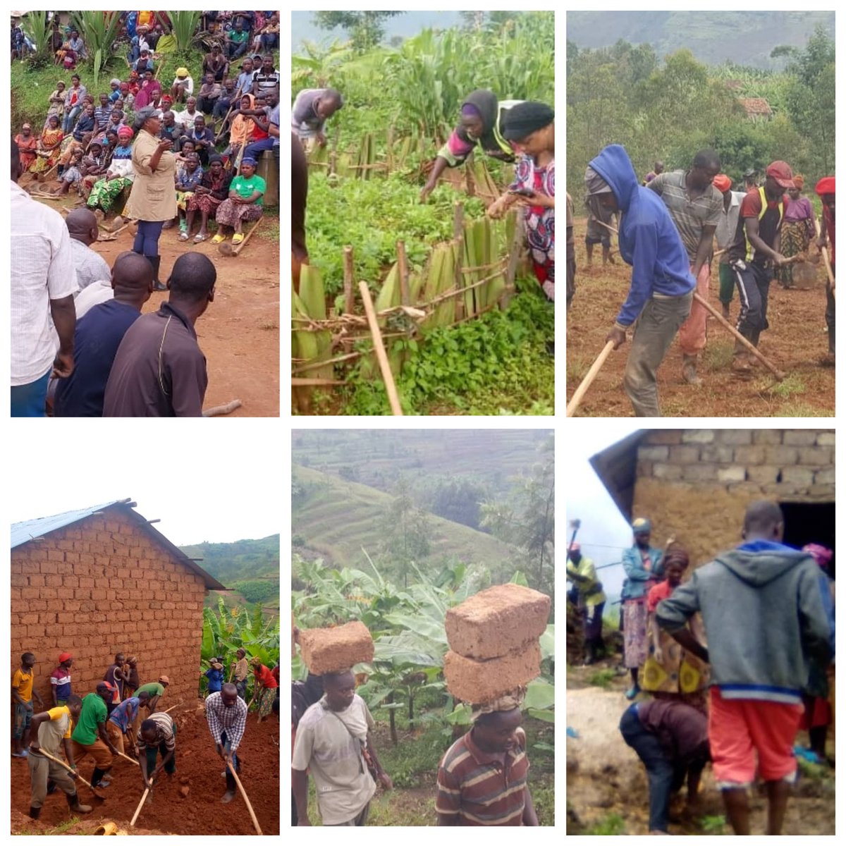 MUSHISHIRO Sector (@mushishiro_sect) on Twitter photo Hirya no hino mu Midugudu igize umurenge hakozwe Umuganda rusange usoza Ukwezi Mata: Hatunganijwe imihanda y'Imigenderano,gutunda amatafari n'imicanga no kubaka inzu z'Abatishoboye;Gutunganya imirima y'imboga n'igikoni n'ingaranti <a href="/KAYITAREJacky/">KAYITARE Jacqueline</a> <a href="/Muhangadis/">MUHANGA District</a> <a href="/RwandaSouth/">Southern Province | Rwanda</a> Hirya no hino mu Midugudu igize umurenge hakozwe Umuganda rusange usoza Ukwezi Mata: Hatunganijwe imihanda y'Imigenderano,gutunda amatafari n'imicanga no kubaka inzu z'Abatishoboye;Gutunganya imirima y'imboga n'igikoni n'ingaranti <a href="/KAYITAREJacky/">KAYITARE Jacqueline</a> <a href="/Muhangadis/">MUHANGA District</a> <a href="/RwandaSouth/">Southern Province | Rwanda</a>