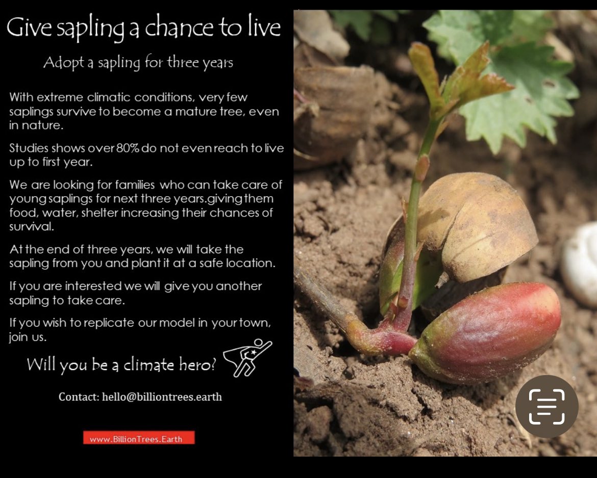 BilliontreesE's tweet photo. @JMBecologist #adoptasapling #ClimateAction https://t.co/uHHRDPB6K3